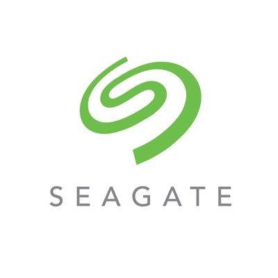 Seagate Technology Holdings PLC Ordinary Shares (Ireland)